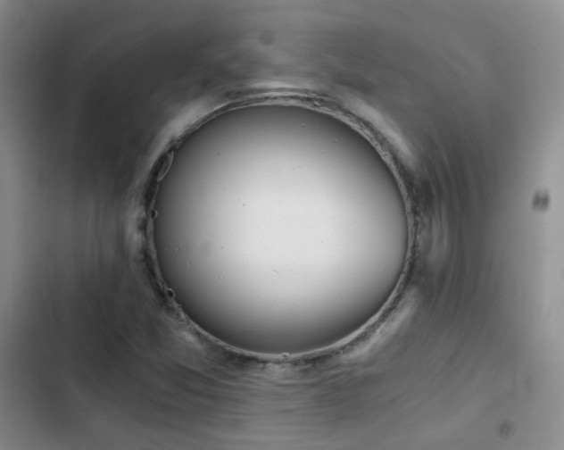 X0000103221357200808281357