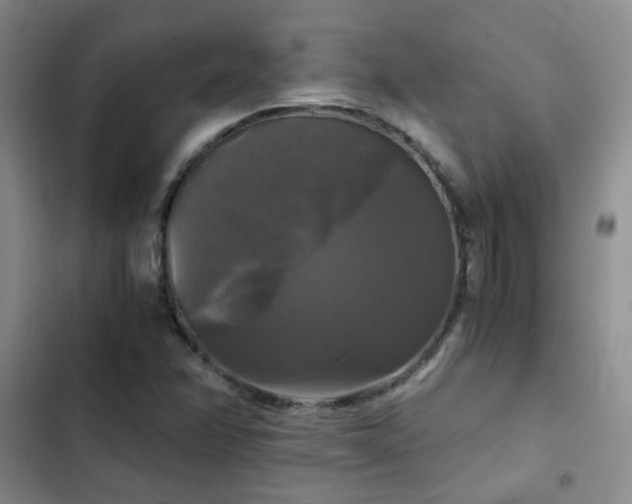 X0000103221358200808281357