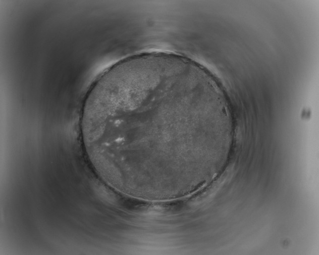 X0000103221359200808281357