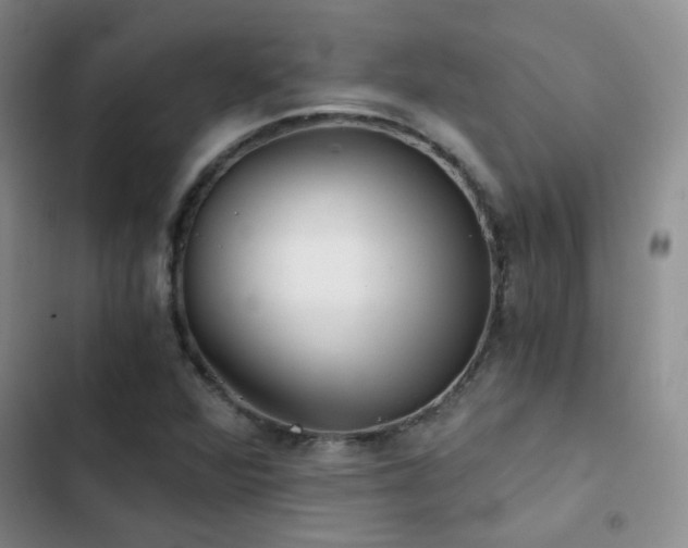 X0000103221360200808281357
