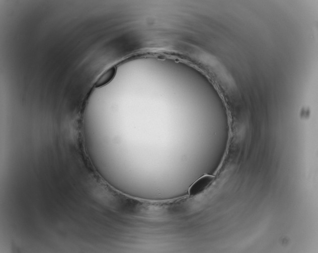 X0000103221361200808281357
