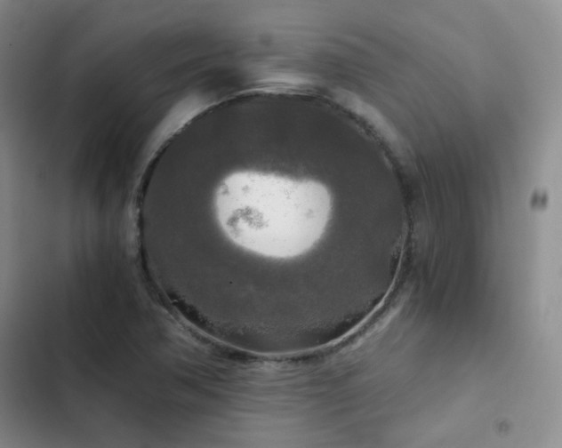X0000103221362200808281357