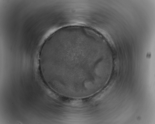 X0000103221363200808281357