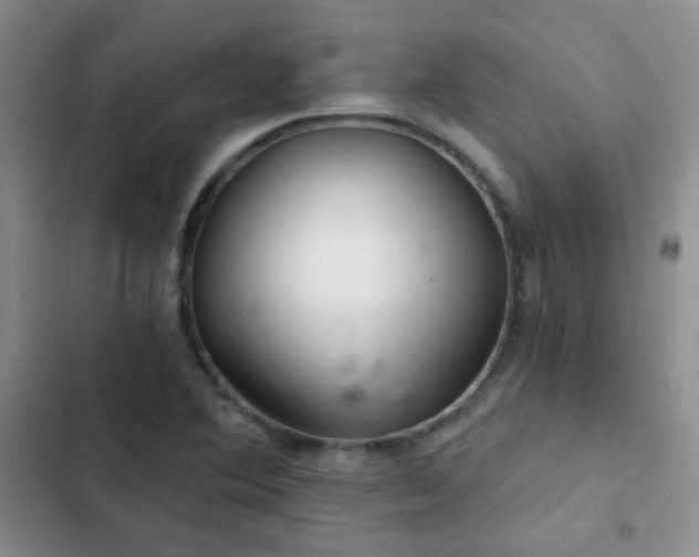 X0000103221364200808281357