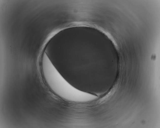 X0000103221365200808281357