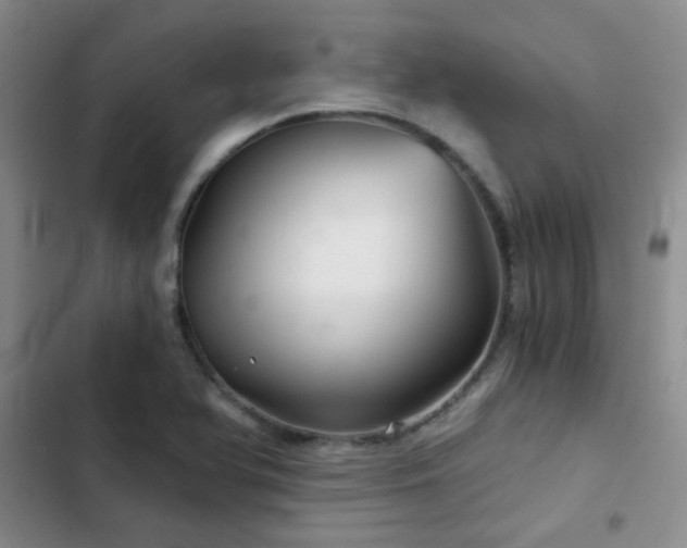 X0000103221366200808281357
