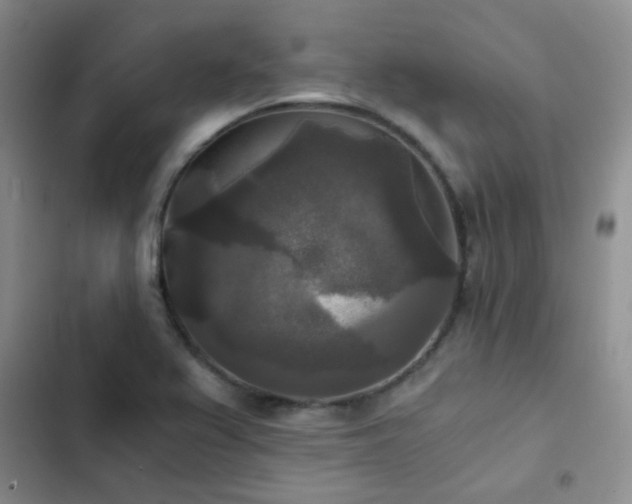 X0000103221367200808281357