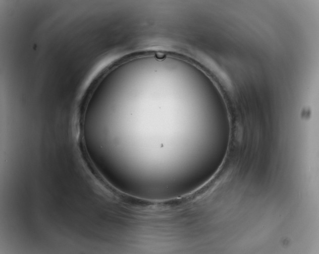 X0000103221368200808281357