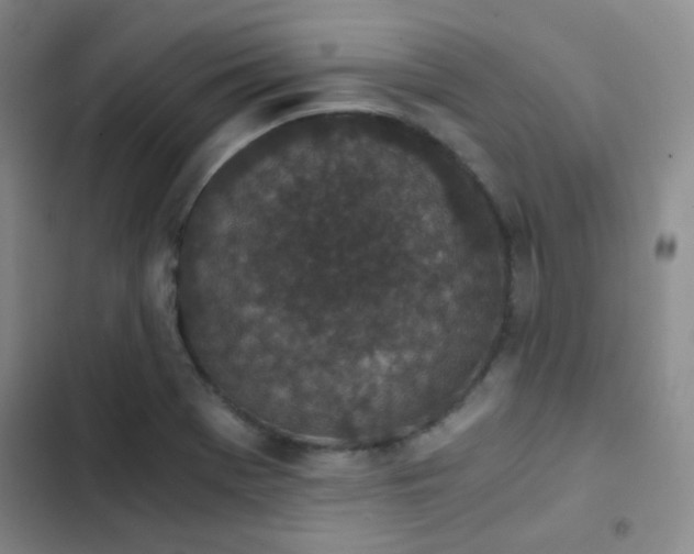 X0000103221369200808281357