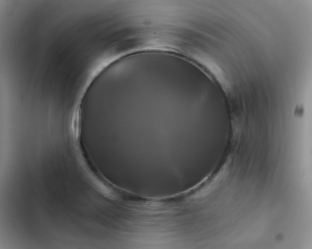 X0000103221371200808281357