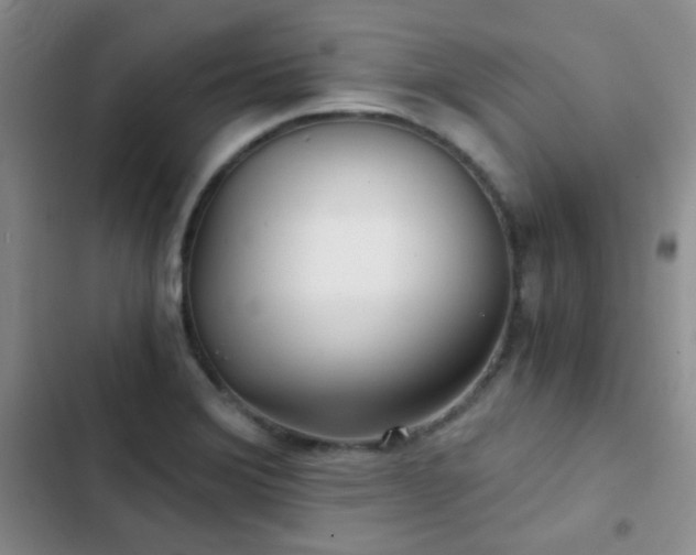 X0000103221372200808281357