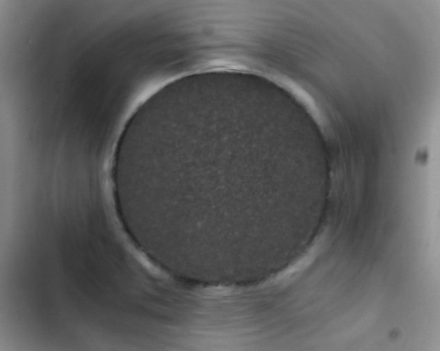 X0000103221373200808281357