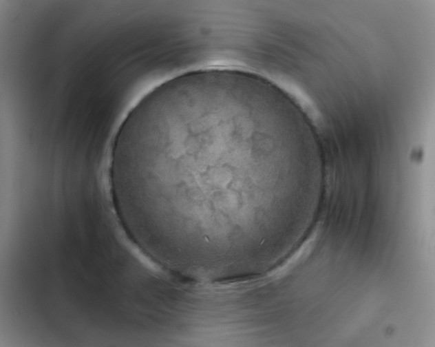 X0000103221374200808281357