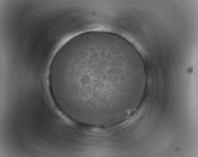X0000103221375200808281357