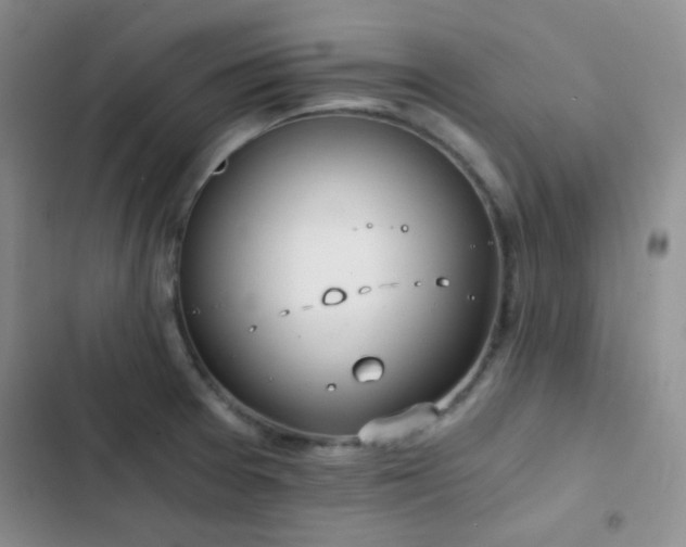 X0000103221377200808281357
