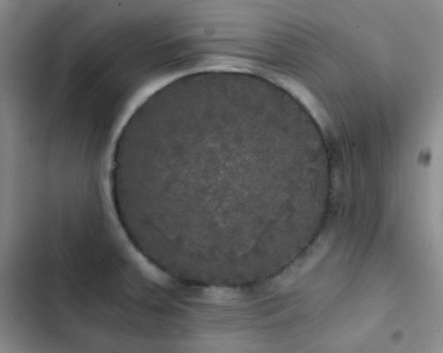 X0000103221379200808281357