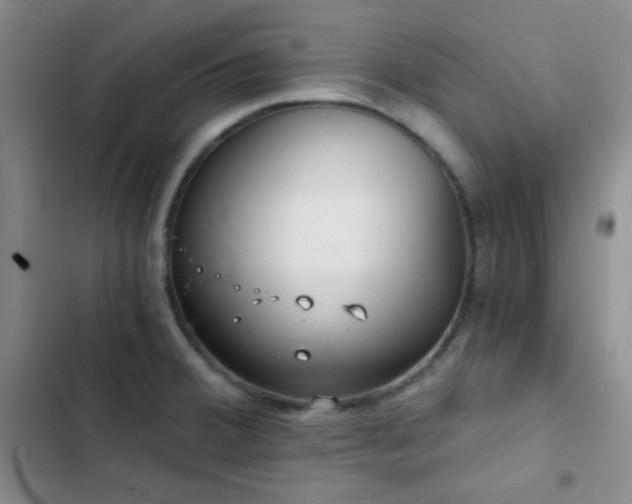 X0000103221380200808281357