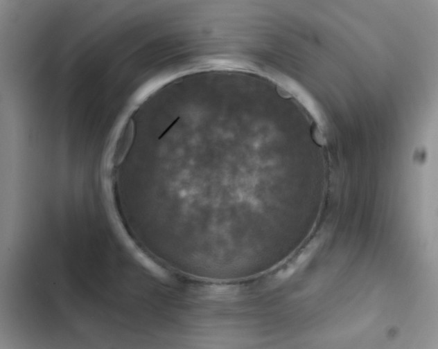X0000103221381200808281357