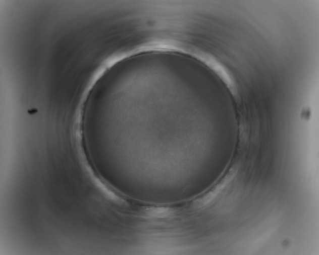 X0000103221382200808281357