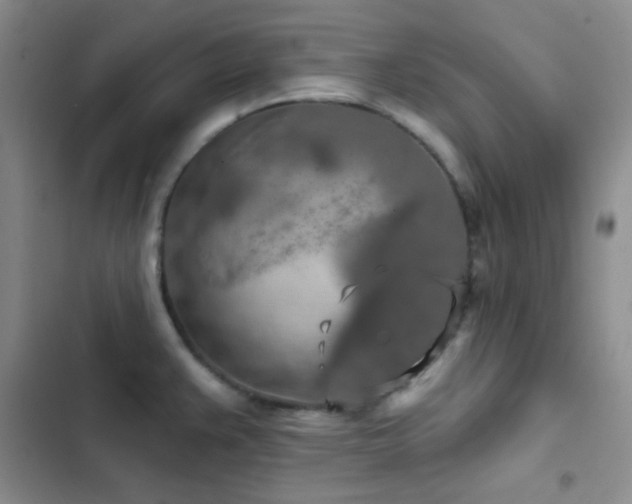 X0000103221383200808281357