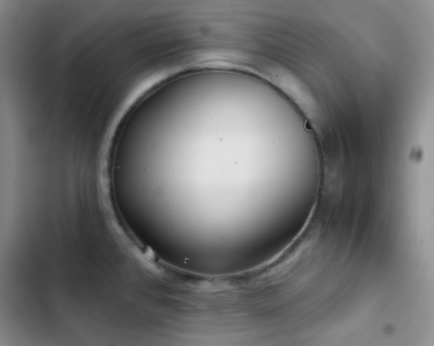 X0000103221384200808281357