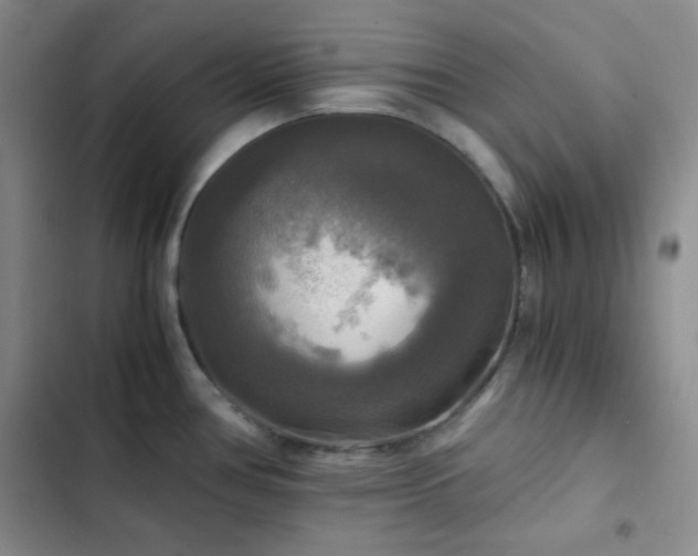 X0000103221386200808281357