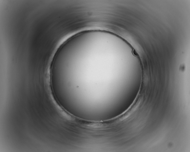 X0000103221388200808281357
