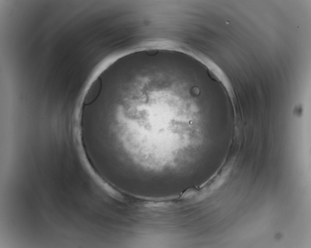 X0000103221389200808281357