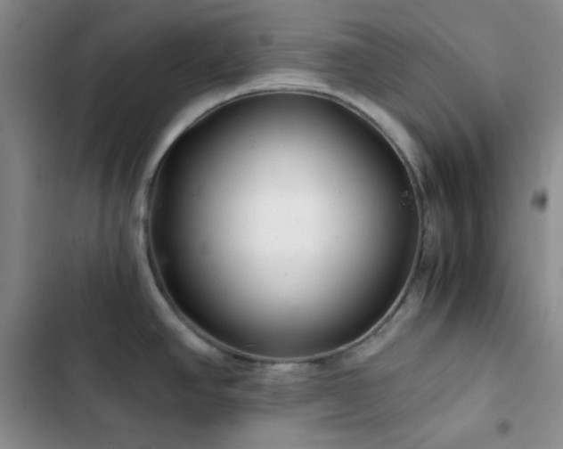 X0000103221390200808281357