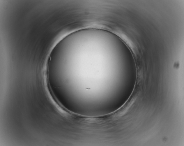 X0000103221391200808281357