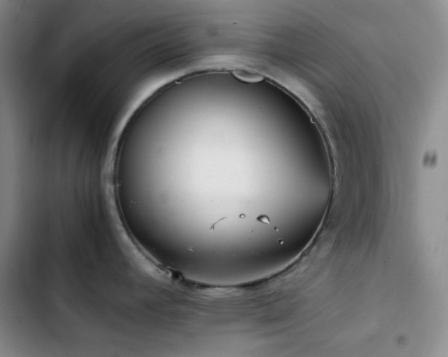 X0000103221392200808281357