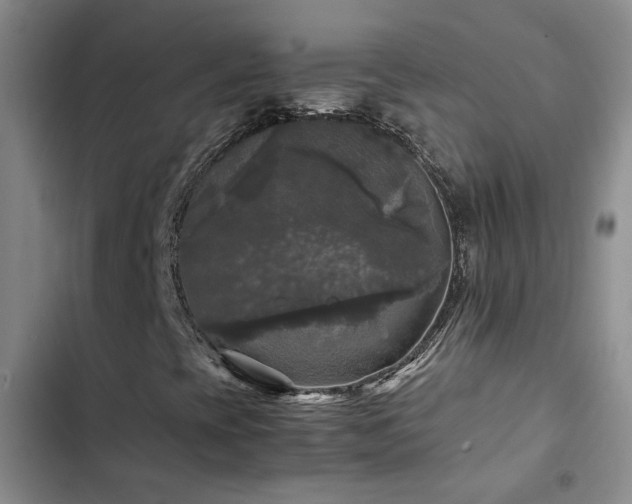 X0000103221393200808281356