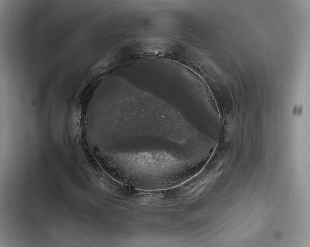 X0000103221394200808281356