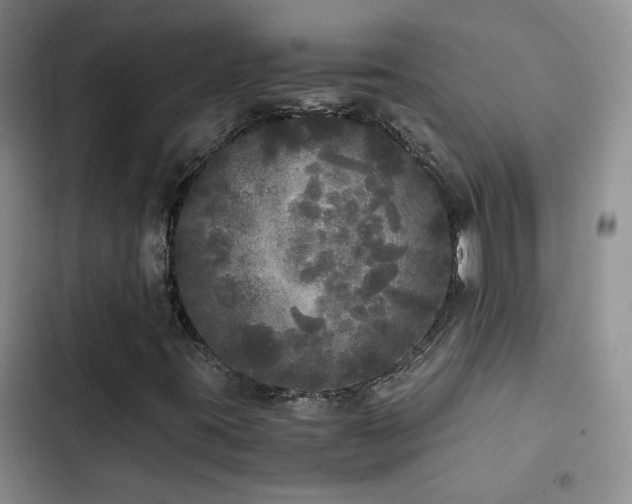 X0000103221395200808281356