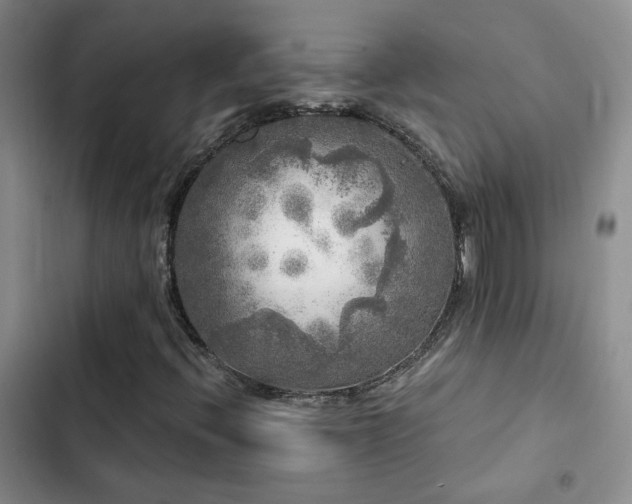 X0000103221396200808281356