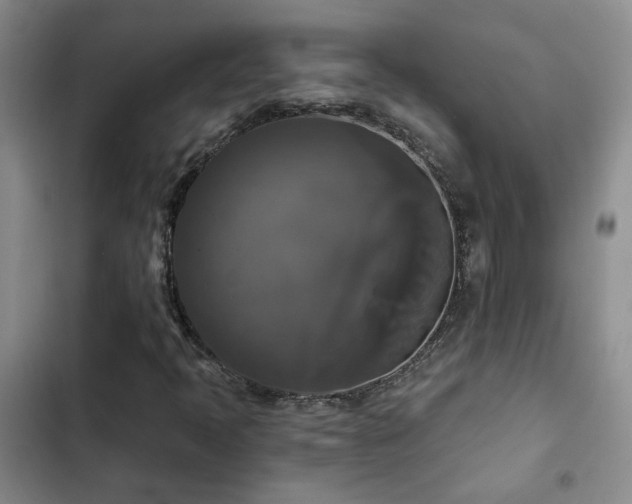 X0000103221397200808281356