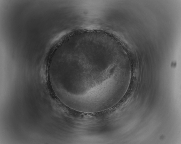 X0000103221398200808281356