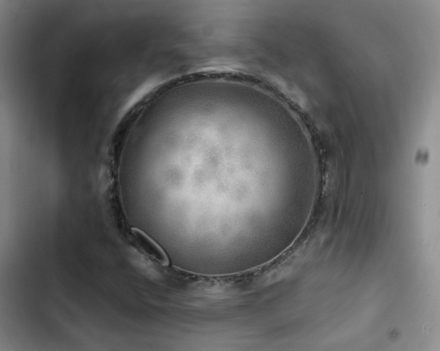 X0000103221400200808281356
