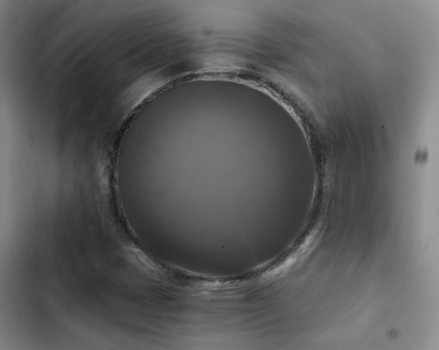 X0000103221401200808281356