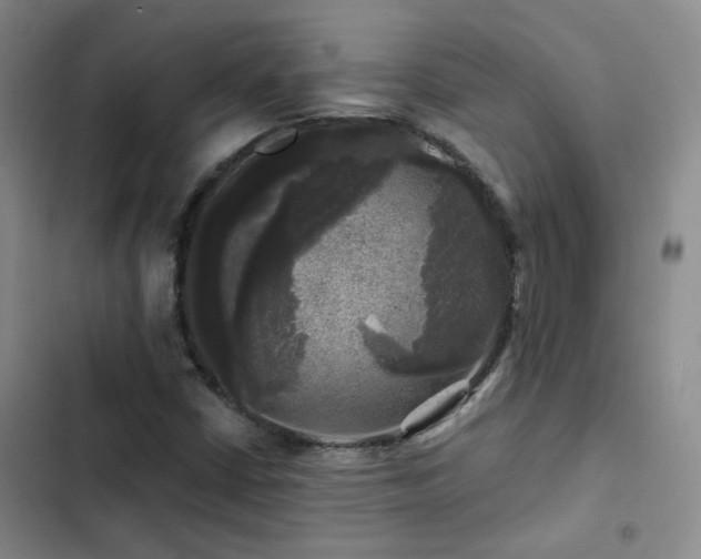 X0000103221402200808281356