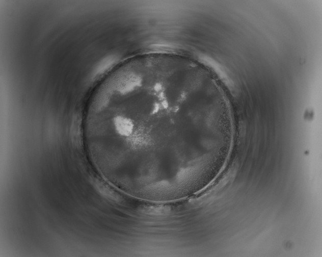 X0000103221403200808281356