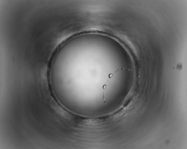 X0000103221404200808281356