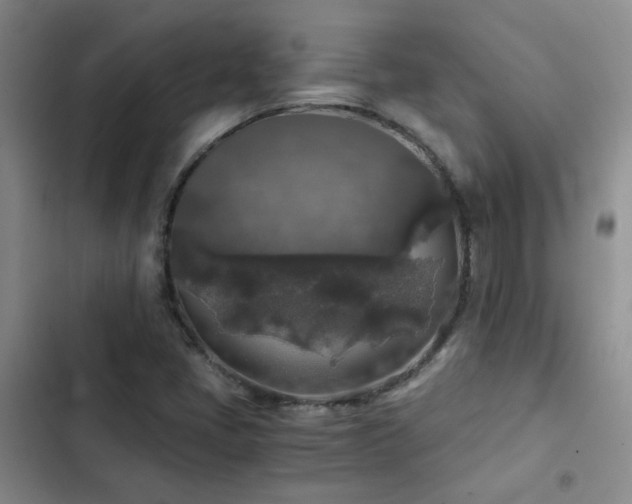 X0000103221405200808281356
