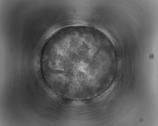 X0000103221407200808281356