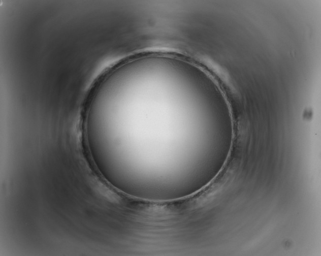 X0000103221408200808281356