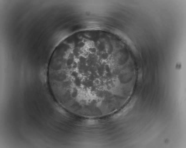 X0000103221409200808281356