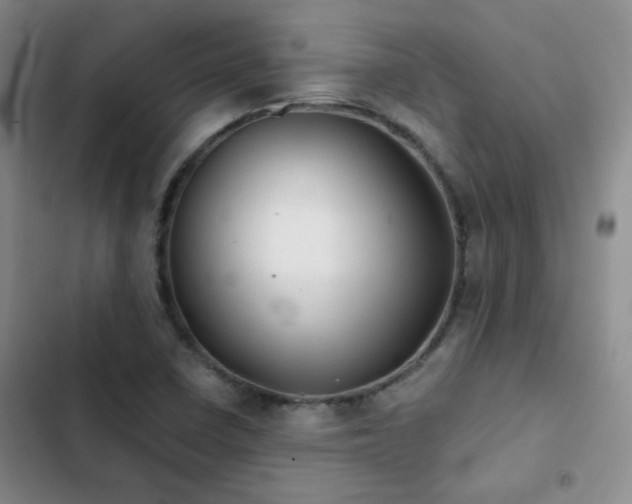 X0000103221410200808281356