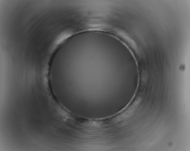 X0000103221411200808281356