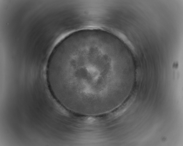 X0000103221412200808281356