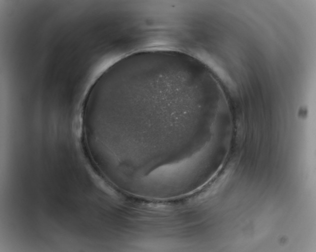 X0000103221413200808281356